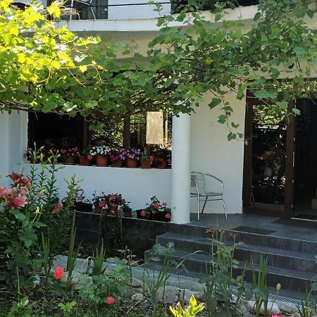 Pensiunea Vila Geany Srl 伯伊莱海尔库拉内 外观 照片