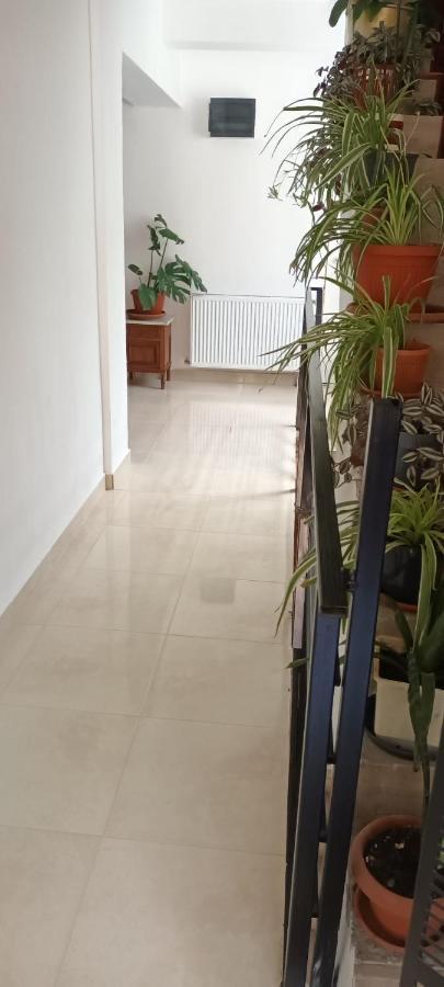 Pensiunea Vila Geany Srl 伯伊莱海尔库拉内 外观 照片
