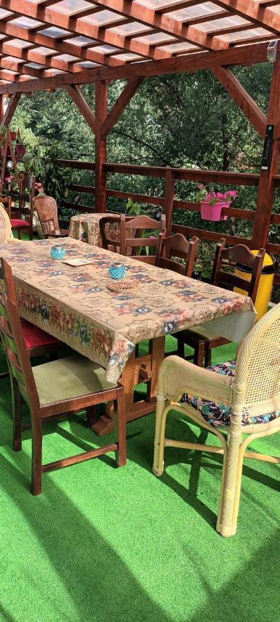 Pensiunea Vila Geany Srl 伯伊莱海尔库拉内 外观 照片